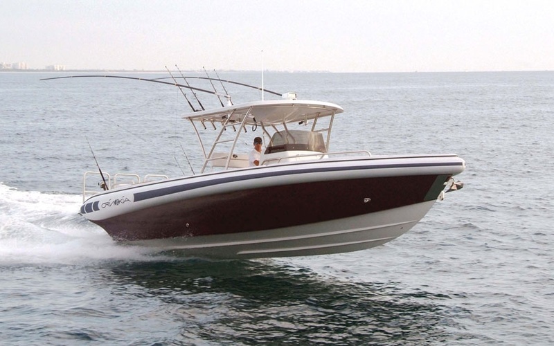 Novurania Chase 31