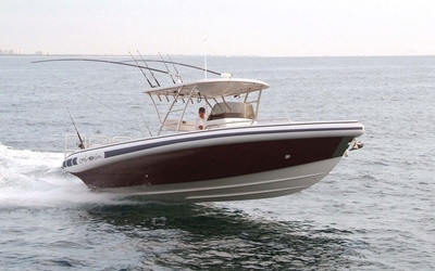 Novurania Chase 31