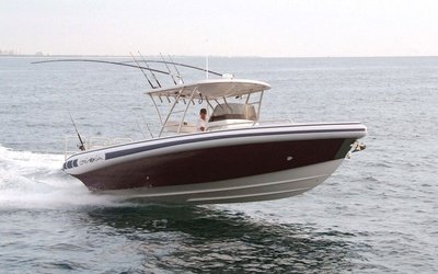 Novurania Chase 31