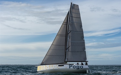 Pogo 44