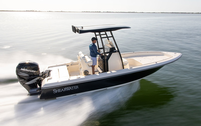 ShearWater 250 SS Carolina
