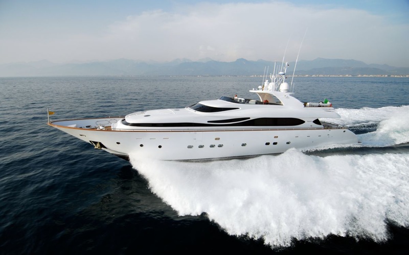Maiora 33DP