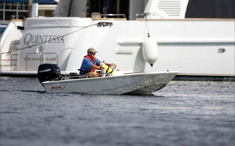 Boston Whaler 110 Tender