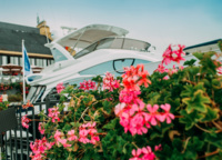 Azimut 54 pf за цветочной кадкой ресторана Vodный.