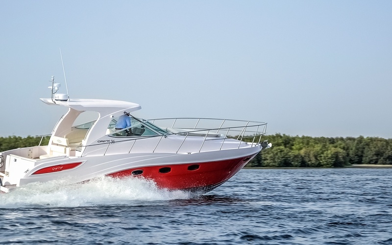 Oryx 36