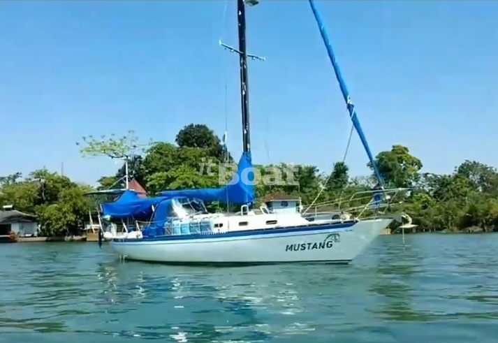 Islander 36 (1974)
