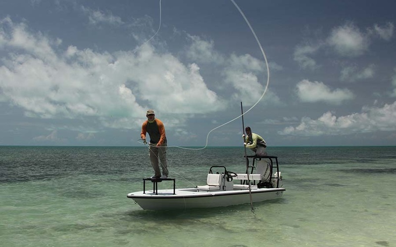 Beavertail Elite 17