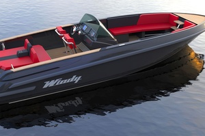 Windy SR28