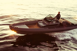 Goldfish 29 Sport