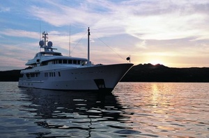 Amels Tigre d’Or 50 