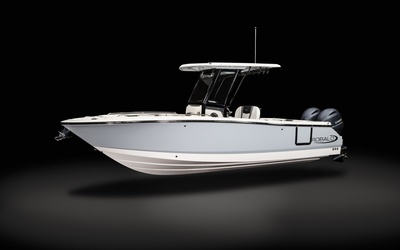 Robalo R250
