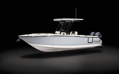 Robalo R250