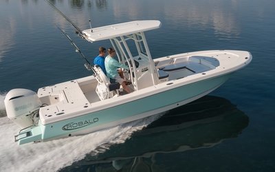 Robalo 246 Cayman