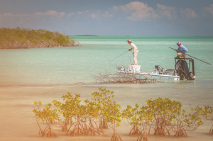 Yellowfin 17 Skiff