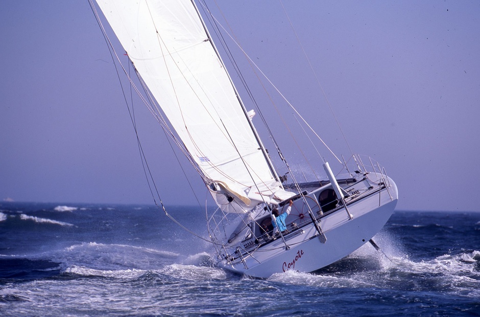 Sea coyote