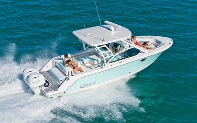 Robalo R317