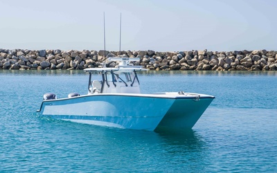 Freeman 37VH