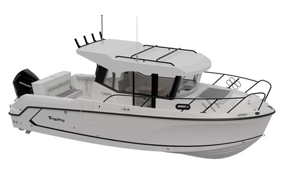 Bayliner T25 Pilothouse
