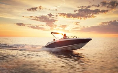 Sea Ray SPX 210
