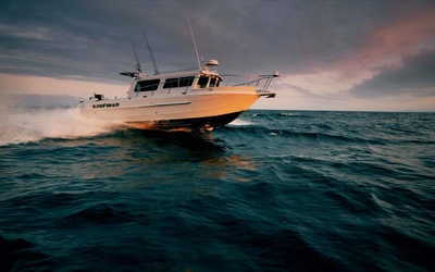 KingFisher 2825