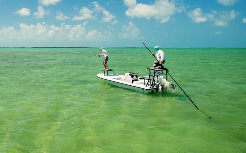 Beavertail Elite 17