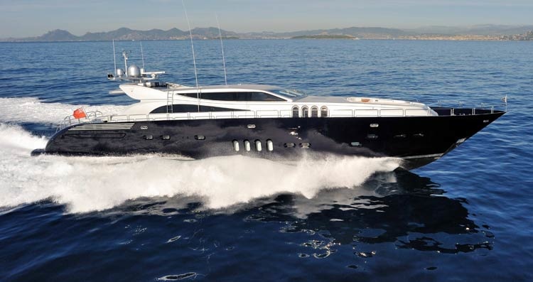 ARNO Leopard 34