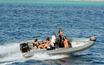 Tiger Marine ProLine 740