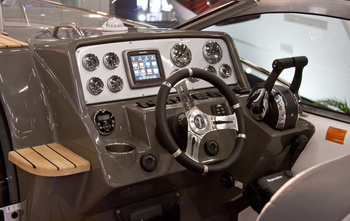 Schaefer 303 (2019)