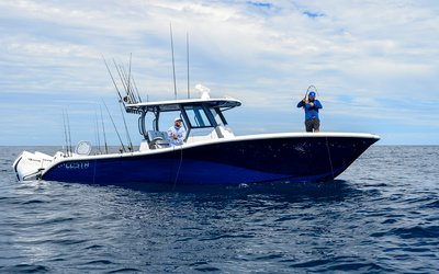 Costa Custom 34SV