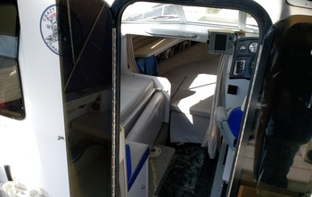 Campion Allante 545i (2004)