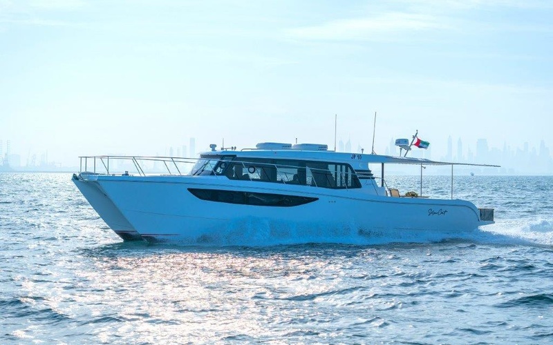 SilverCat 46LUX