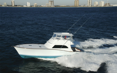 Vicem Sportfish 54