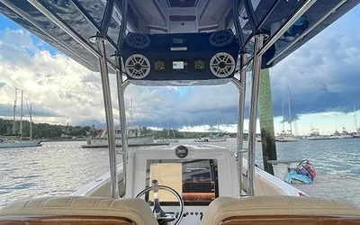Dynamic D305V