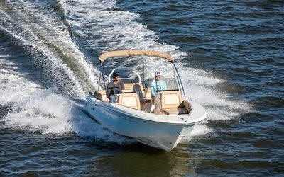 Scout 195 Sport Dorado