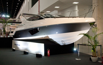 Schaefer 303 (2019)