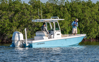 Everglades 253CC
