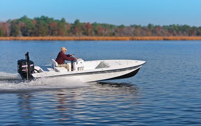 Egret 189
