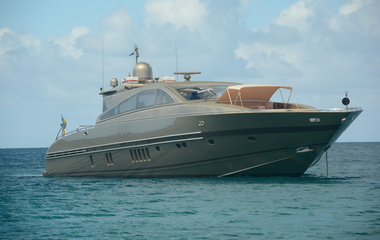 Leopard Tender To