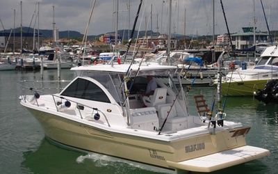 3B Craft 31 EX