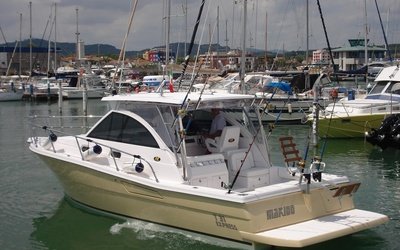 3B Craft 31 EX