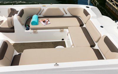 Bayliner Element E21