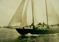 Летом 1928 года группа участников Transpac Race задумала идею создания клуба для спонсирования гонок. Это было началом Transpacific Yacht Club, который был официально зарегистрирован в 1937 году.