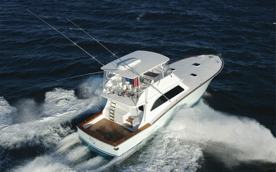 Vicem Sportfish 54