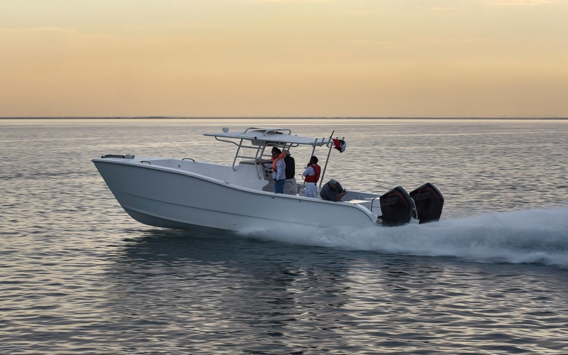 Silvercraft SilverCat34 CC