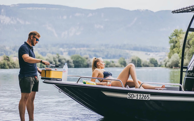 SwissCat 18