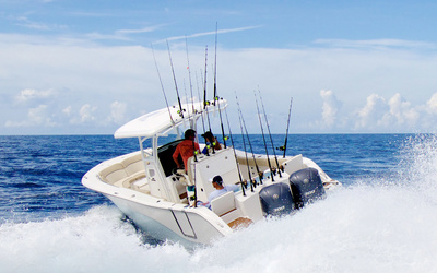 Sea Fox 288 Commander