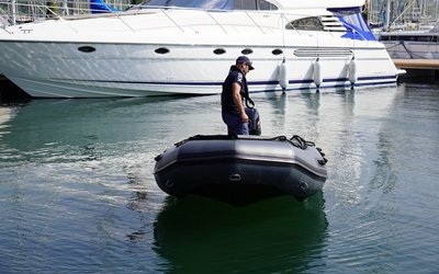 3D Tender Polar 470