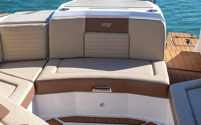 FS 290 Outboard