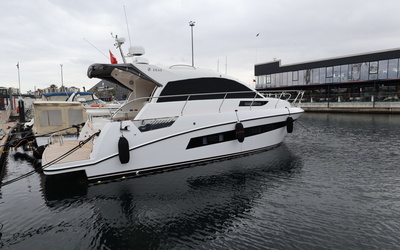 Zeus Premium 38