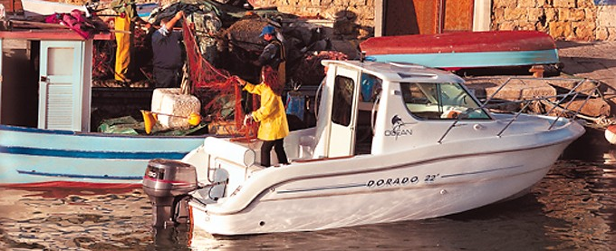 Sessa Dorado 22